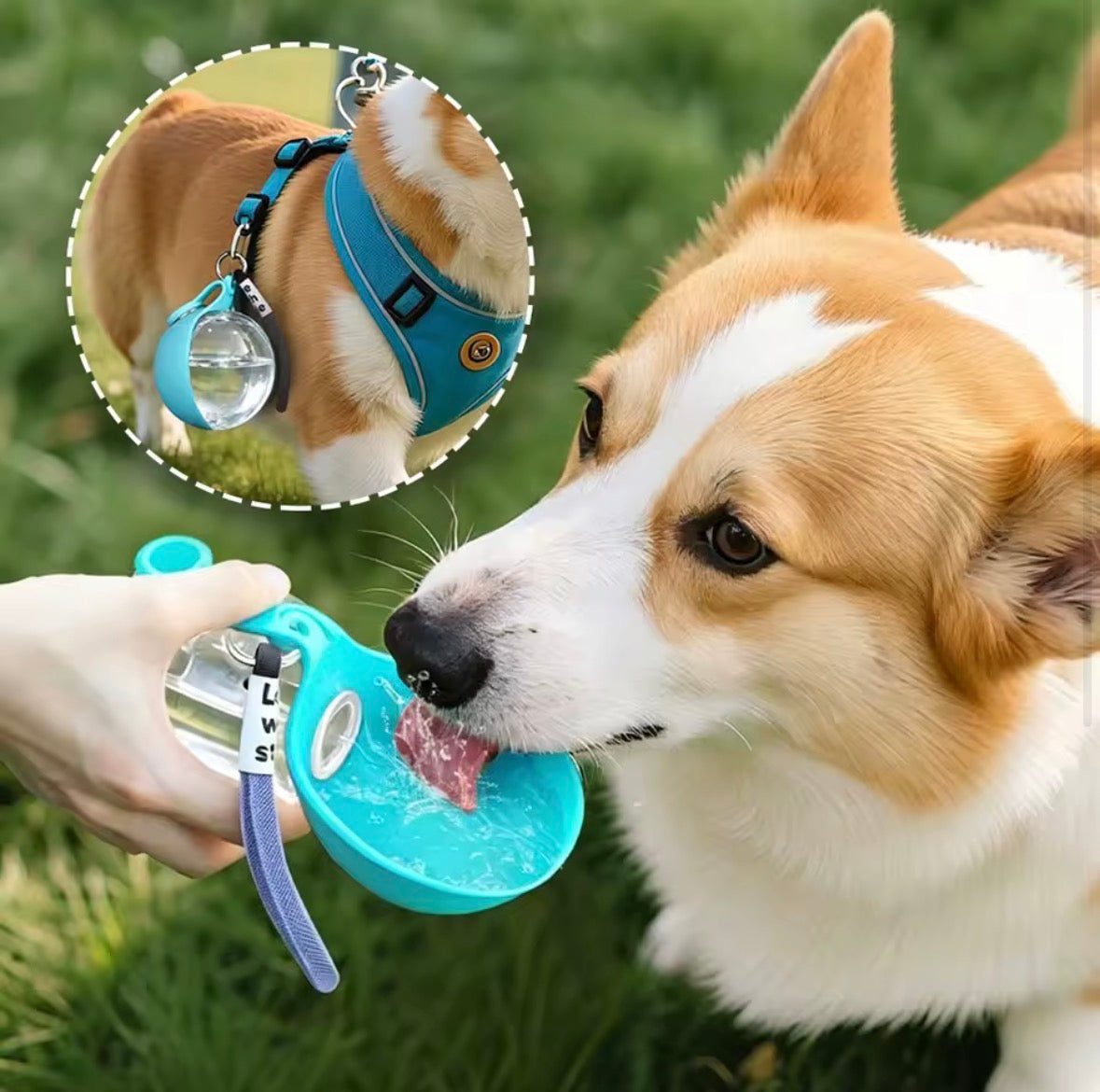 2 in 1 Portable Dog Water Bottle