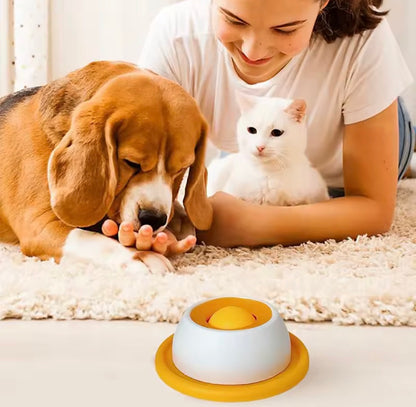Slow Feeder Bowl for Pets